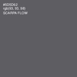 #5D5D62 - Scarpa Flow Color Image